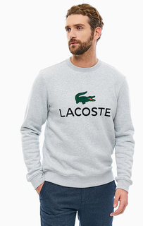 Свитшот Lacoste