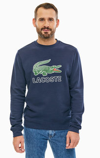 Свитшот Lacoste