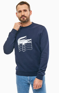 Свитшот Lacoste