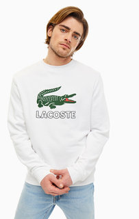 Свитшот Lacoste