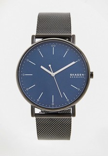 Часы Skagen