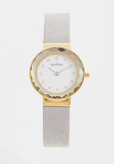 Часы Skagen