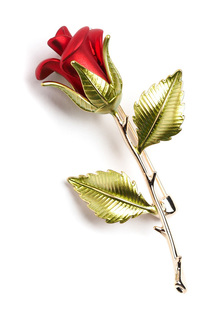 Брошь FRANSUA ARDY