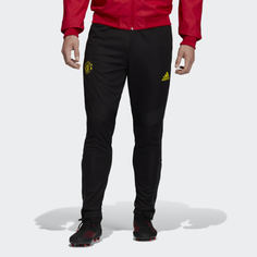 Тренировочные брюки Манчестер Юнайтед adidas Performance