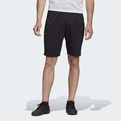 Шорты TAN adidas Performance