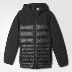 Пуховик Cozy adidas Athletics