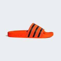 Шлепанцы adilette adidas Originals