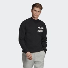 Джемпер VRCT Crew adidas Athletics