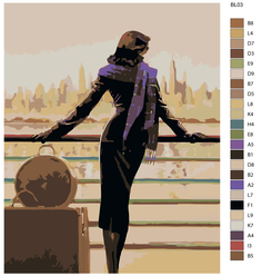 Картина по номерам, 40 x 50, BL03