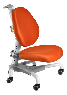 Стул детский Mealux Champion Y-718 WKY