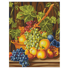 CG913/Виноградная лоза-картина по номерам Color KIT