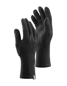 Перчатки Arcteryx Gothic черные L L06080000 Arcteryx