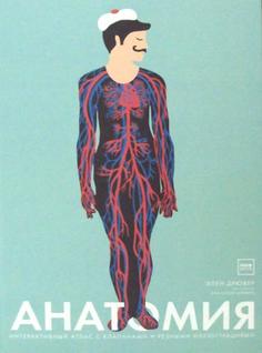 Анатомия