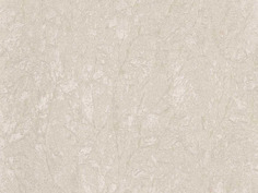 Виниловые обои Zambaiti Trussardi Z3402