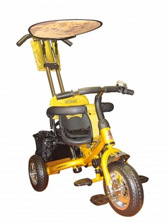 Велосипед детский Lexus Trike Next Generation MS-0571 золотой