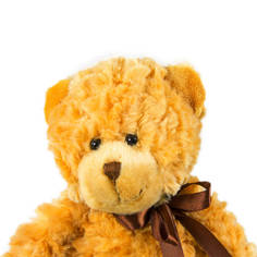 Мягкая игрушка Teddykompaniet плюшевый мишка Гарри 23 см, коричневый,2503