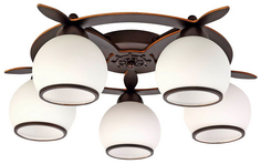 Потолочная люстра Omnilux OML-50507-05