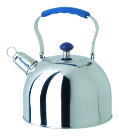 Чайник для плиты REGENT inox 93-2507B 3 л