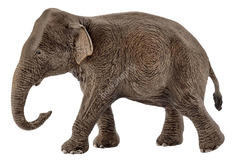 Фигурка животного Schleich Самка азиатского слона