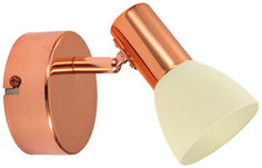 Спот Eglo Glossy 2 94736