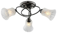Потолочная люстра IDLamp Zhinevra 246/3PF-Blackwhite