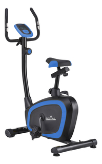 Велотренажер Royal Fitness DP-B038