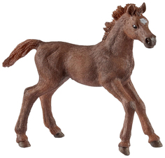 Фигурка животного Schleich Английский чистокровный верховой жеребенок 13857