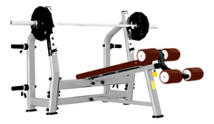 Скамья для жима Bronze Gym J-024