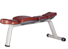 Скамья горизонтальная Bronze Gym H-036AC