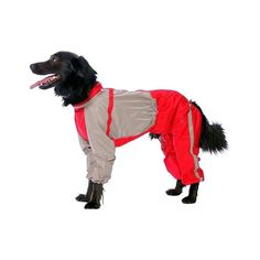 Комбинезон для собак ТУЗИК размер 3XL мужской, красный, серый, длина спины 50 см