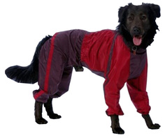 Комбинезон для собак ТУЗИК размер 6XL мужской, красный, черный, длина спины 76 см