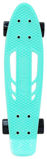 Скейтборд Y-Scoo Skateboard Fishbone с ручкой 22" 405-A с сумкой Aqua Black