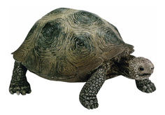 Фигурка животного Schleich Гигантская черепаха