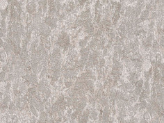 Виниловые обои Zambaiti Trussardi Z3407