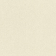 Виниловые обои Rasch Art Nouveau 943870