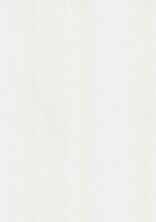 Виниловые обои Andrea Rossi Stefano 54158-2