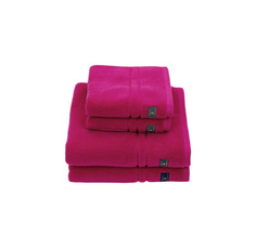 Кухонное полотенце Gant Home PREMIUM TERRY 852002002/653/030050