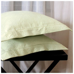 Наволочка Luxberry зеленый 47x47