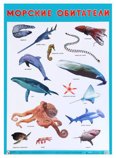 Плакат Sea Animals Морские обитатели 45х60 Мозаика Синтез
