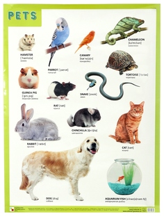 Плакат Английский язык малышам «PETS. Домашние питомцы» Мозаика Синтез