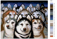 Картина по номерам, 40 x 50, A306