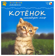 Котенок исследует мир Мозаика Синтез