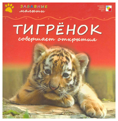 Тигренок совершает открытия Мозаика Синтез