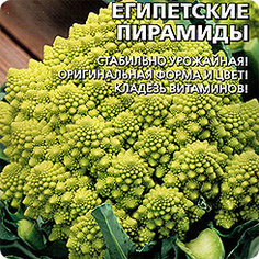 Семена Капуста цветная Египетские пирамиды, 0,1 г, Уральский дачник