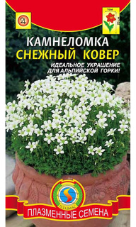 Семена Камнеломка Снежный ковер, 0,005 г Плазмас