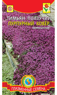 Семена Тимьян ползучий Пурпурный ковер, 0,05 г Плазмас