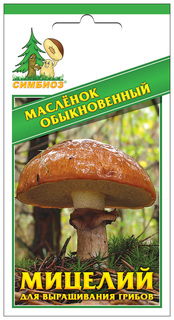 Мицелий грибов Зерновой Масленок Обыкновенный, 30 мл Симбиоз