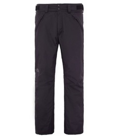 Спортивные брюки мужские The North Face Presena, black, XL INT