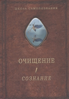 Очищение. Том 1. Сознание. А. Шевцов Роща Академии