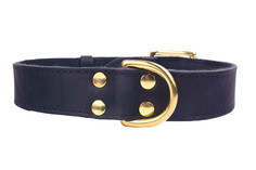 Ошейник для собак ZOOLESZCZ "Exclusive Gold", черный, обхват шеи 55 см